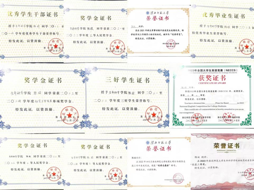 6d62b36104714d6bb788e332a9ac84ad.png